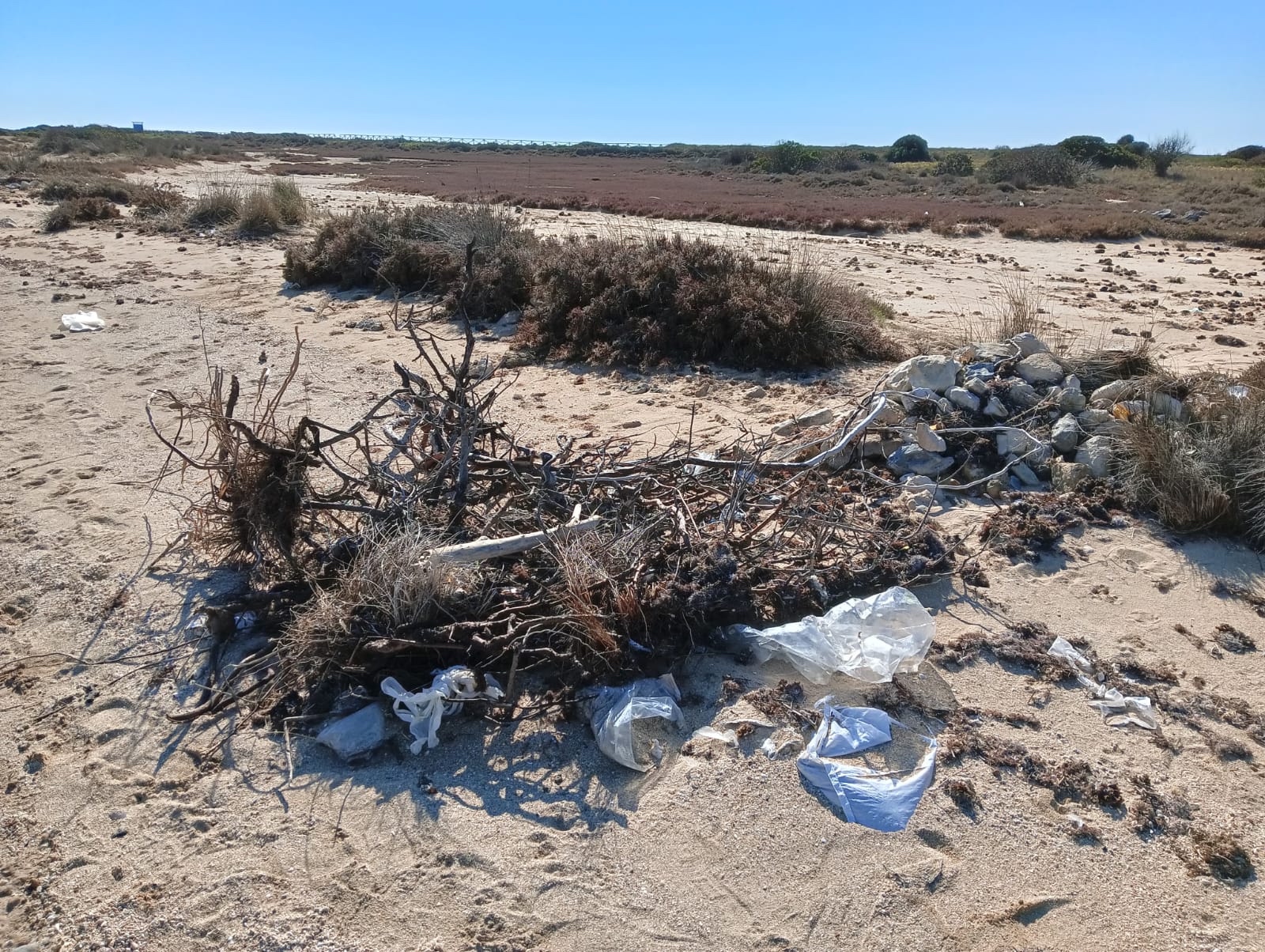 Lecce: Risultati del progetto I-Plastic, a cui ha contribuito anche l’Università del Salento